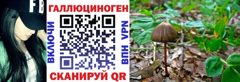 Псилоцибиновые грибы GOLDEN TEACHER  хочу   Сычёвка 